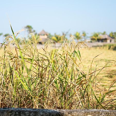 Bali Tiger Hideaway 호텔 풀루칸 외부 사진