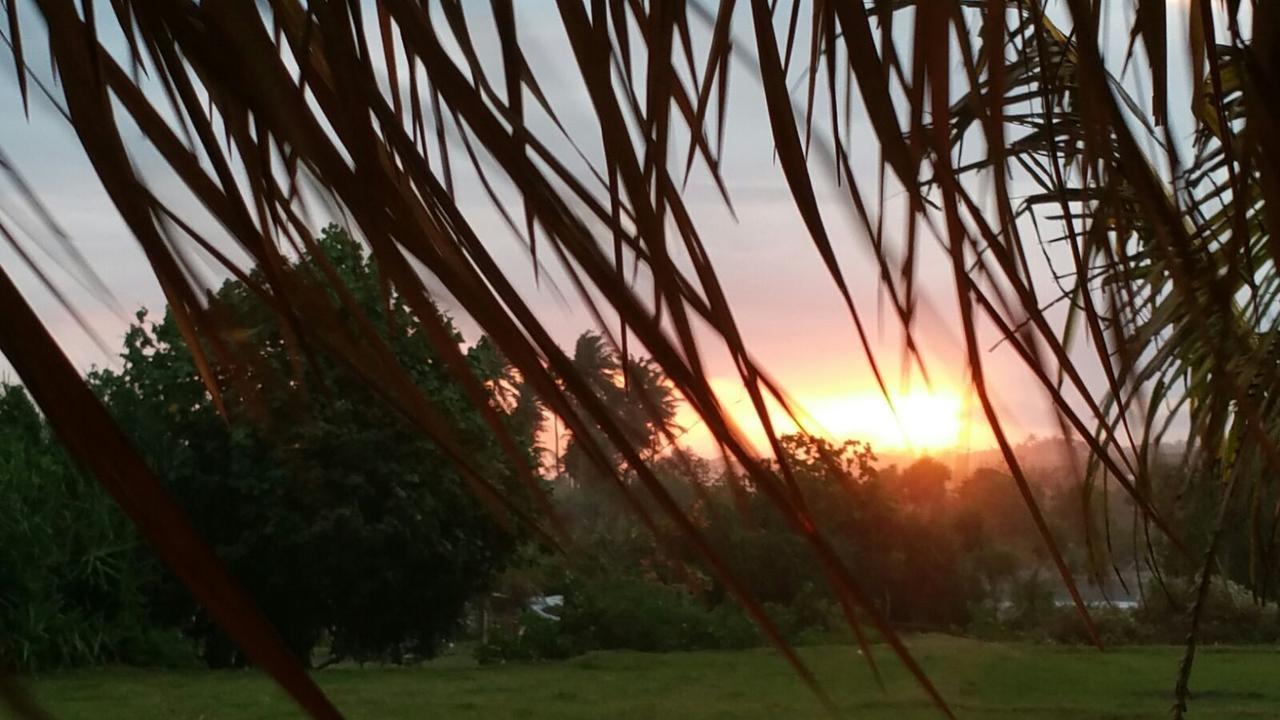 Bali Tiger Hideaway 호텔 풀루칸 외부 사진