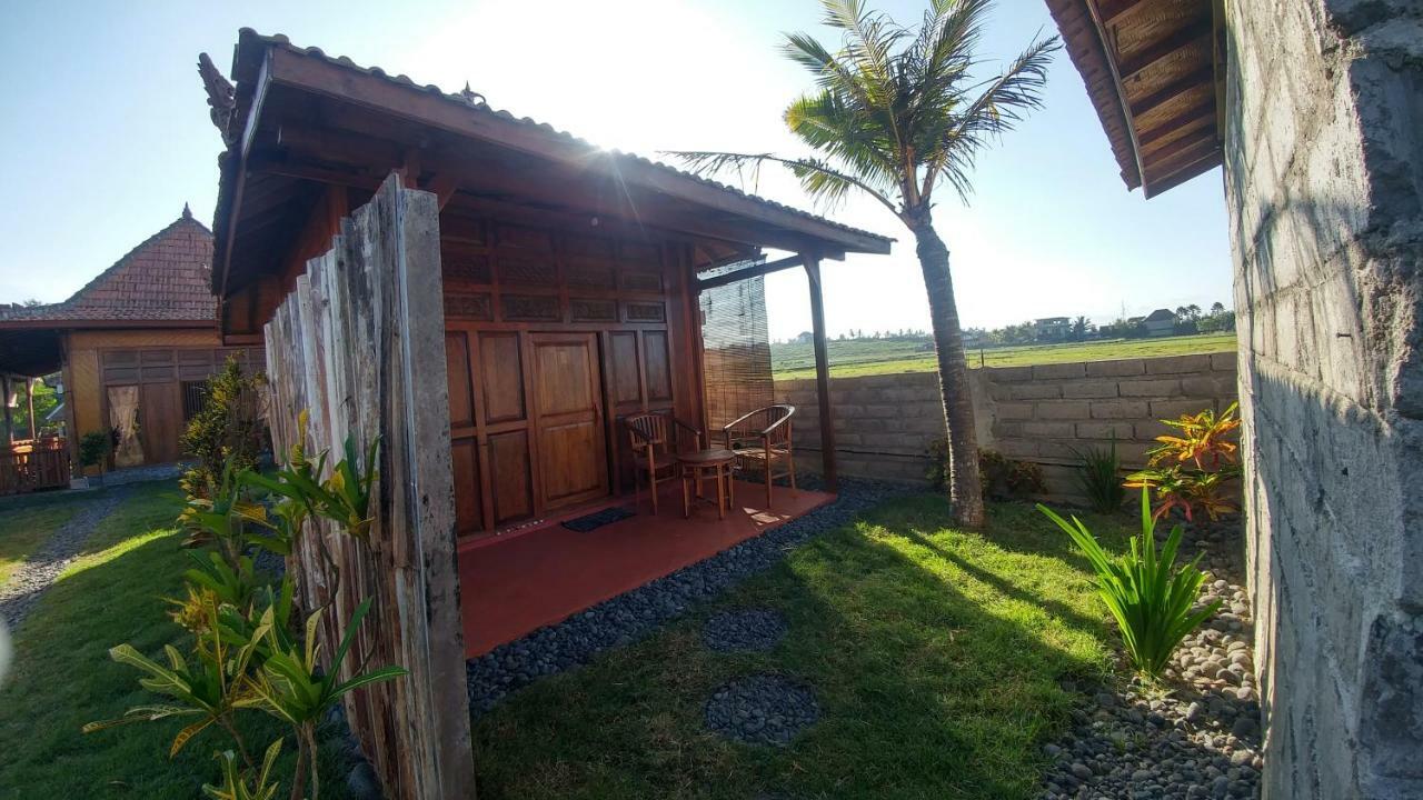 Bali Tiger Hideaway 호텔 풀루칸 외부 사진