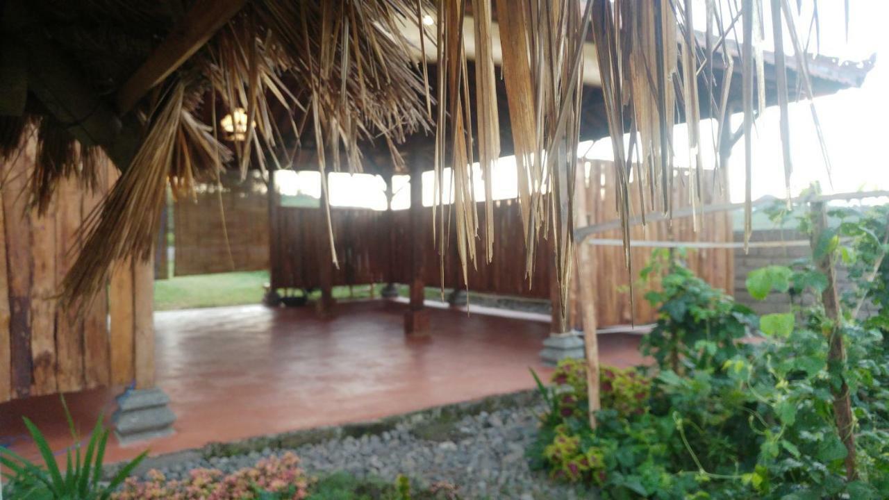 Bali Tiger Hideaway 호텔 풀루칸 외부 사진