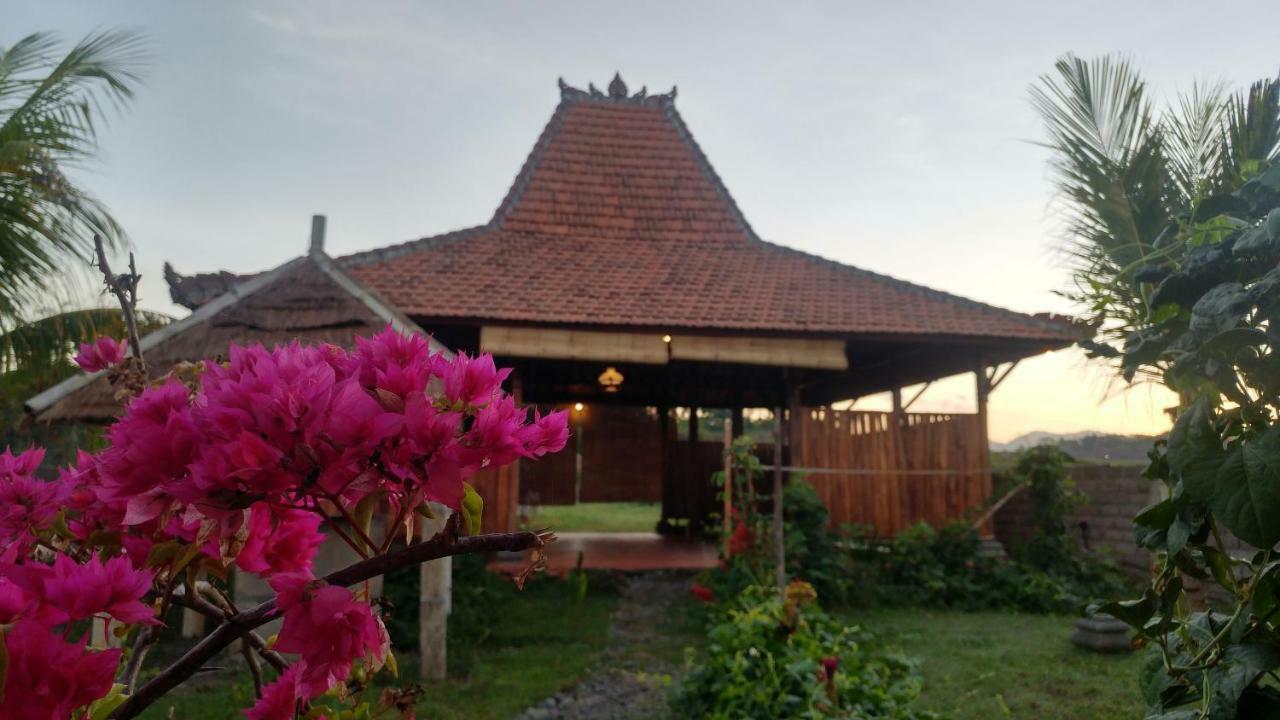 Bali Tiger Hideaway 호텔 풀루칸 외부 사진