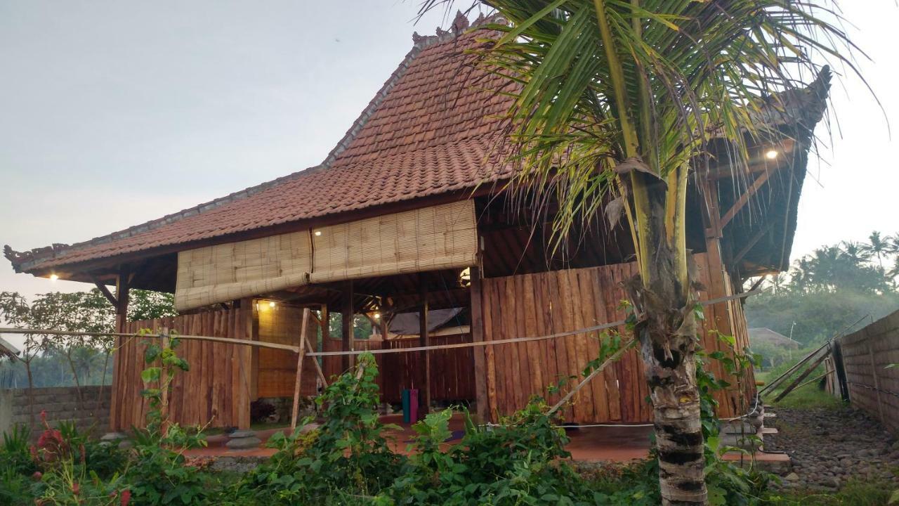 Bali Tiger Hideaway 호텔 풀루칸 외부 사진