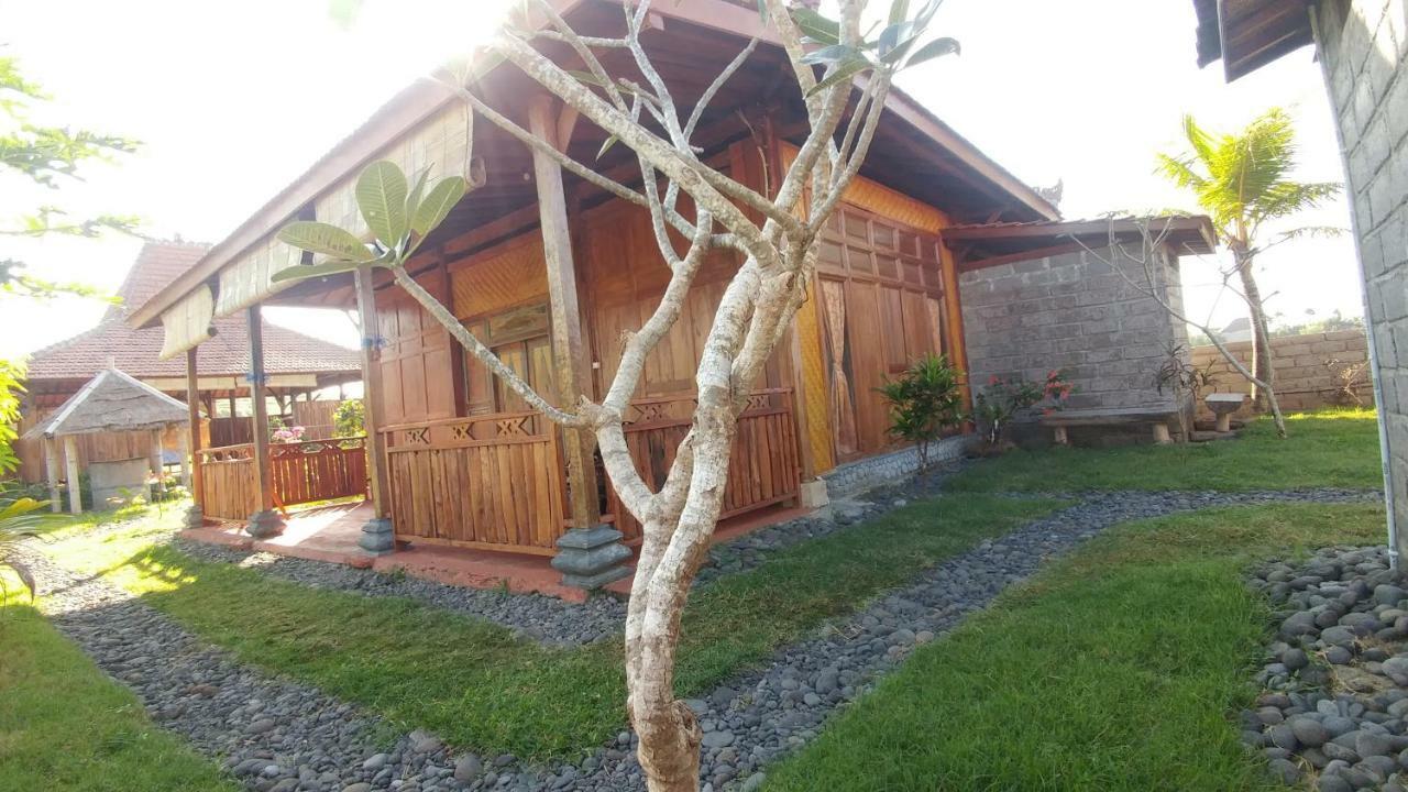 Bali Tiger Hideaway 호텔 풀루칸 외부 사진