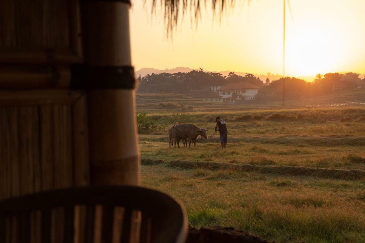 Bali Tiger Hideaway 호텔 풀루칸 외부 사진